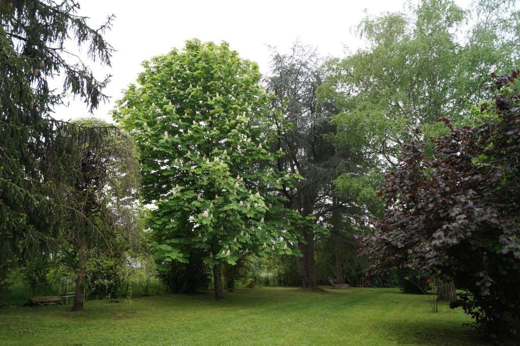 Aux Raisins Verts Bed and Breakfast Castillon-la-Bataille Esterno foto